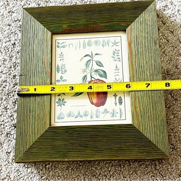 Giovanni Morello Framed Prints Artichoke Pepper Watercolor Paintings Set of 2 - Picture 10 of 12